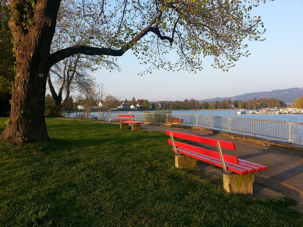 他必须在日 他必须在日