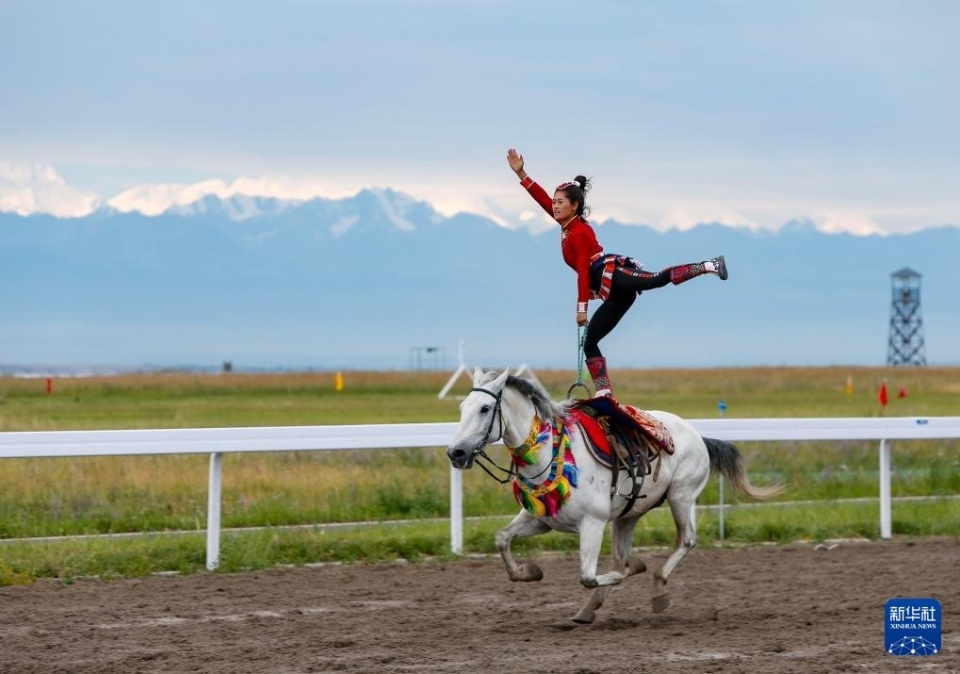 普梅納斯 普梅納斯